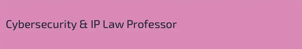 Cybersecurity & IP Law Professor